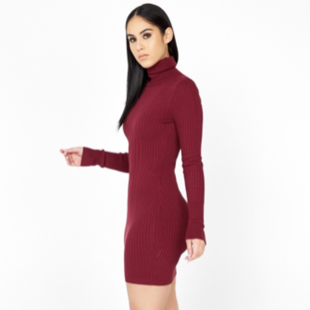 Ribbed Fitted Turtleneck Dress